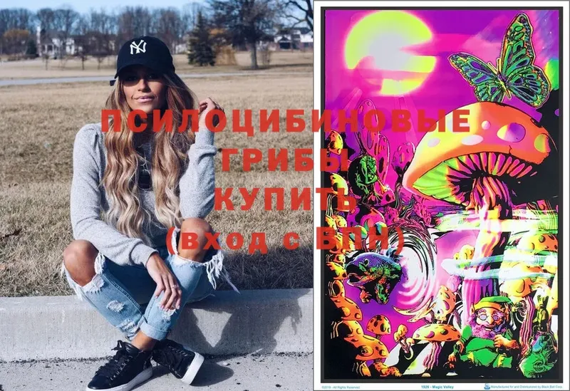 MEGA как зайти  Гудермес  Галлюциногенные грибы Psilocybe 